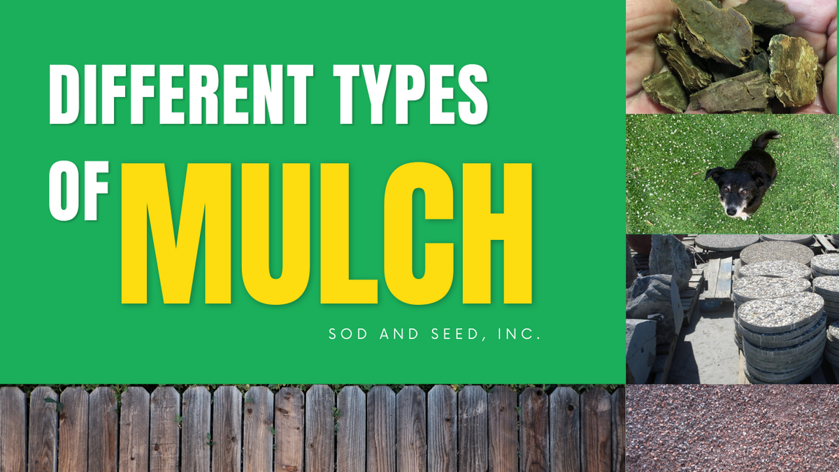 Types of Mulch by Sod and Seed, Inc.