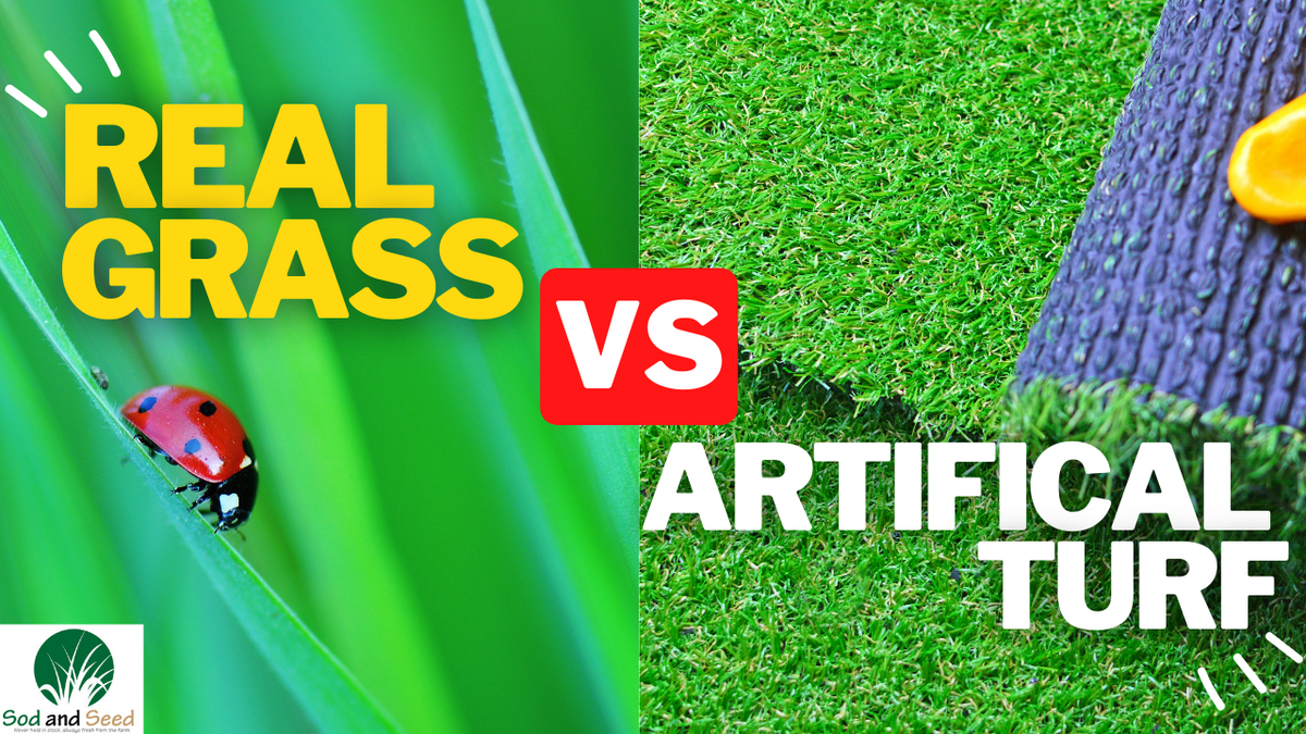 Real Grass vs. Artificial Turf A Comparison of Benefits and Considera