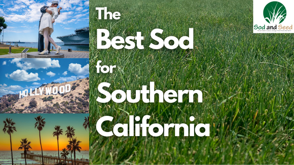 for sod for southern california