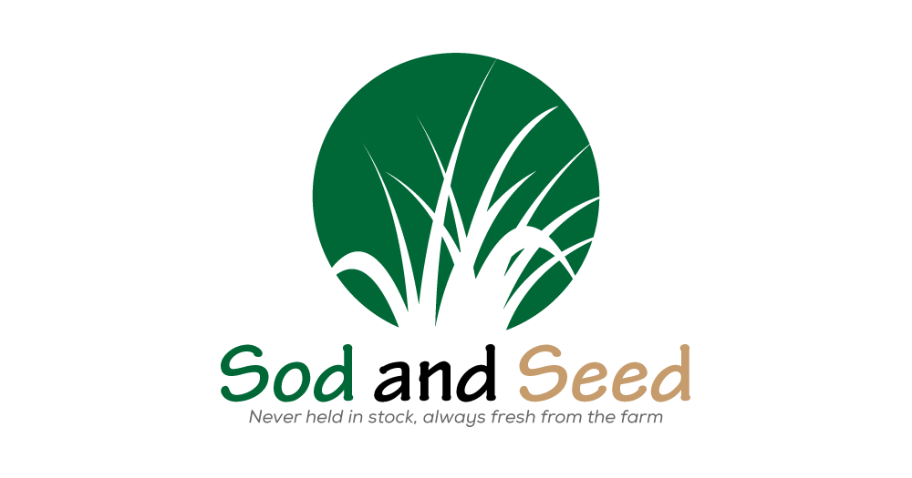 Profile picture of George