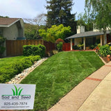 Installation of Sod Up to 2000 sq ft