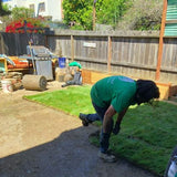 Installation of Sod Up to 2000 sq ft