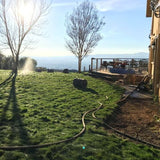 Installation of Sod Up to 2000 sq ft