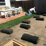 Installation of Sod Up to 2000 sq ft