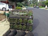 9010 tall fescue sod