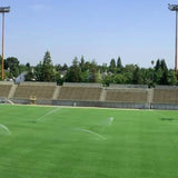 Ball Park Bermudagrass Sod