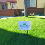 blue-rye grass seed