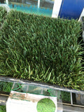 Bolero dwarf fescue sod