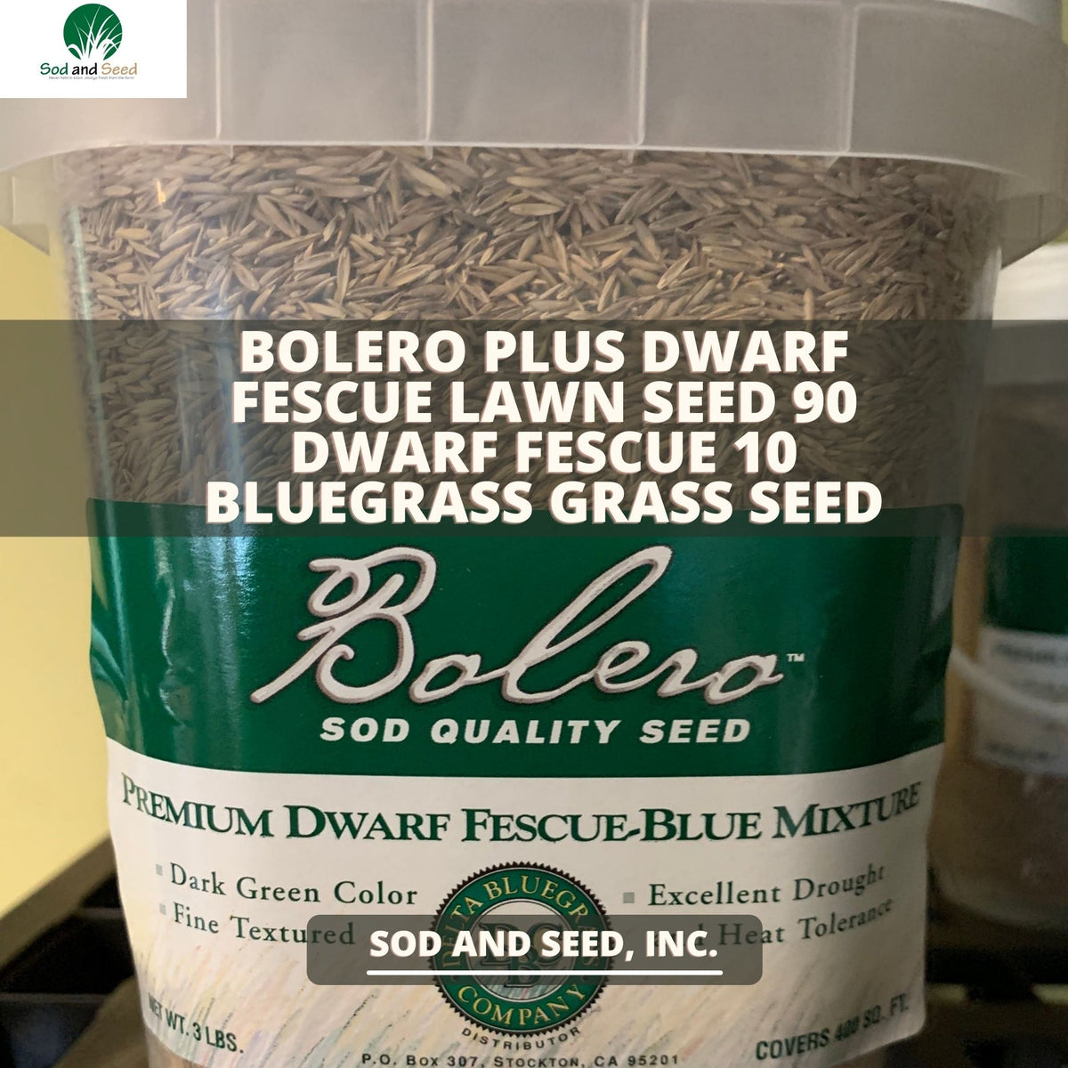 Bolero Plus Dwarf Fescue Grass Seed – Sod and Seed, Inc.