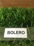 bolero sod dwarf fescue