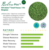 Bolero Plus reviews