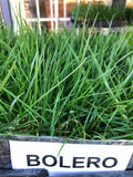 Bolero Sod Delivery