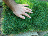 Elite Plus sod Los Angeles