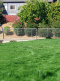 elite plus sod at church park