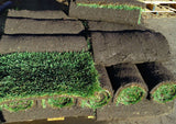 Elite Plus Grass