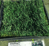 elite plus sod delivery