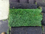 hybrid tall fescue with bluegrass sod delivery to San Francisco CA