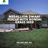 Medallion Dwarf Fescue with Bonsai Grass Seed