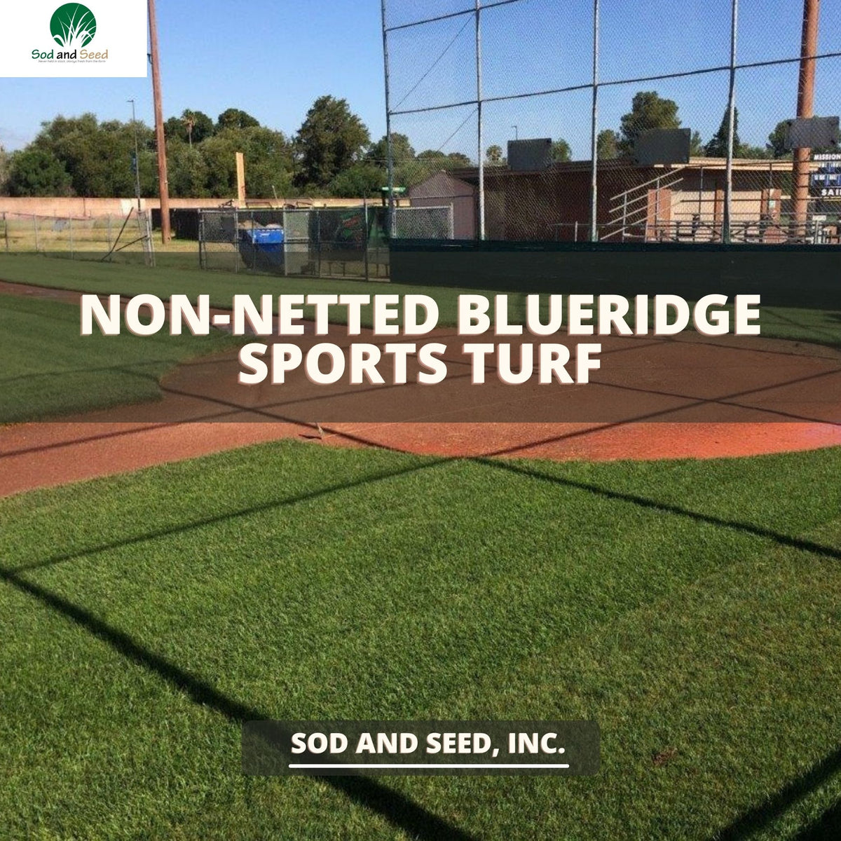 NON-NETTED-BLUERIDGE-SPORTS-