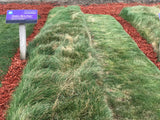 native grass mow free
