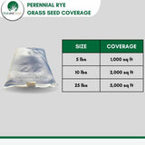 Perennial Rye Grass Seed