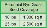 Perennial Rye Grass Seed