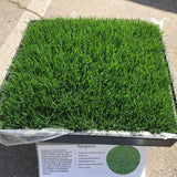 ryegrass sod delivery near me and anywhere in California