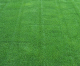 ball park sod cost