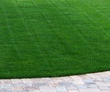 ballpark sod delivery