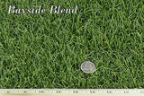 bayside bluegrass ryegrass sod