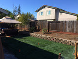 bolero plus sod dwarf fescue with bluegrass