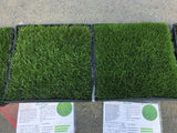 dwarf fescue vs bluegrass