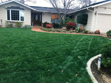 bolero plus sod and seed