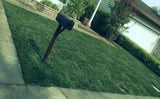 elite plus fescue and bluegrass