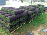 fescue sod on pallets