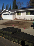 fresh sod elite plus