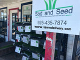 elite plus sod and seed