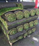 hybrid tall fescue sod delivery in Concord Ca