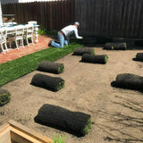 hybrid tall fescue with bluegrass sod delivery and installation near San Jose Ca