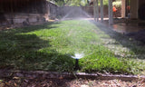 Shade Blend Grass