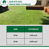 perennial rye grass kbg grass seed