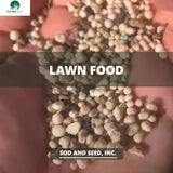 Lawn Food 25-3-6 Lawn Fertilizer