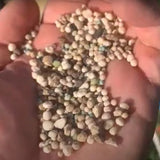 Lawn Food 25-3-6 Lawn Fertilizer