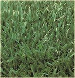 Medallion Dwarf Fescue with Bonsai Grass Seed