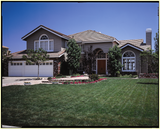 Medallion Dwarf Fescue with Bonsai Grass Seed