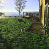 native sod no mow