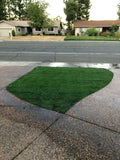 bluerye grass seed