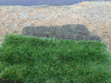 pallet of elite plus sod