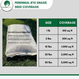 Perennial Rye Grass Seed