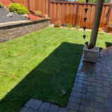 RTF® Rhizomatous Tall Fescue Sod Los Angeles